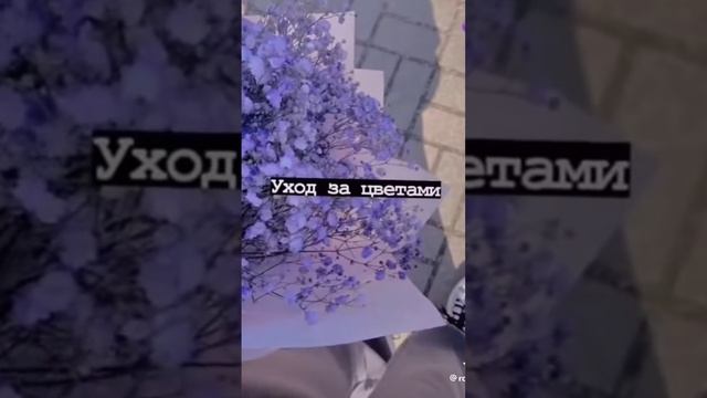 РАБОТЫ С 12 ЛЕТ ❣️✨#врекомендации #работа #врек смотреть онлайн