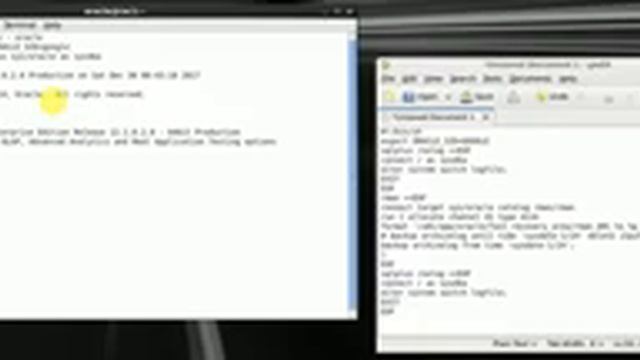 Shell Script to take RMAN_Archivelog Backup for last 1Hour смотреть онлайн