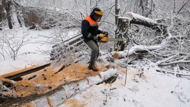 Работа пилами калибр 45сс и чемпион 362. Заготовка дров. смотреть онлайн