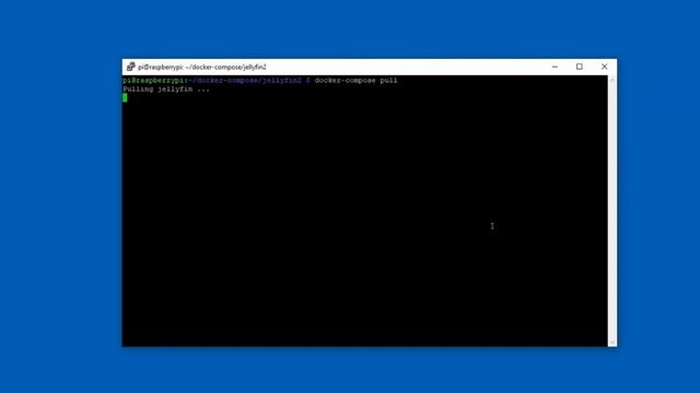 Actualizar Jellyfin en docker смотреть онлайн
