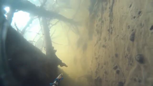 Подводная охота - Часик перед дождём....для души! смотреть онлайн