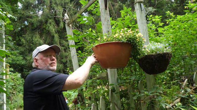 In The Garden: Deadheading, Harvesting Basil And Planting Seeds