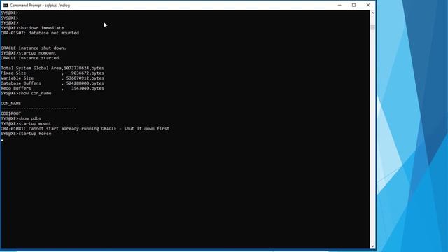 Oracle DB Startup, Shutdown, and Availability смотреть онлайн