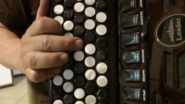 РОДИТЕЛЬСКИЙ ДОМ Разбор НА БАЯНЕ смотреть онлайн