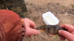 РЫБАЛКА НА ЭКРАНЫ. Какой размер ячеи самый уловистый.