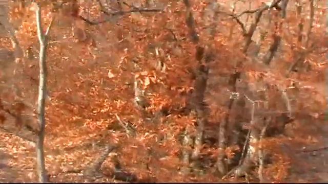 Крым сегодня! Демерджи! часть 1 смотреть онлайн