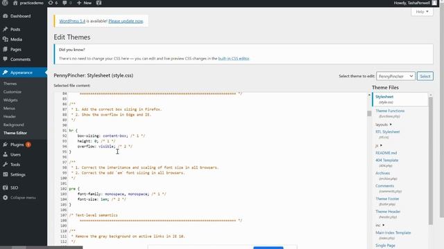 Customizing Underscores Default Theme смотреть онлайн