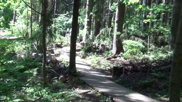 Экологическая тропа Комаровский берег