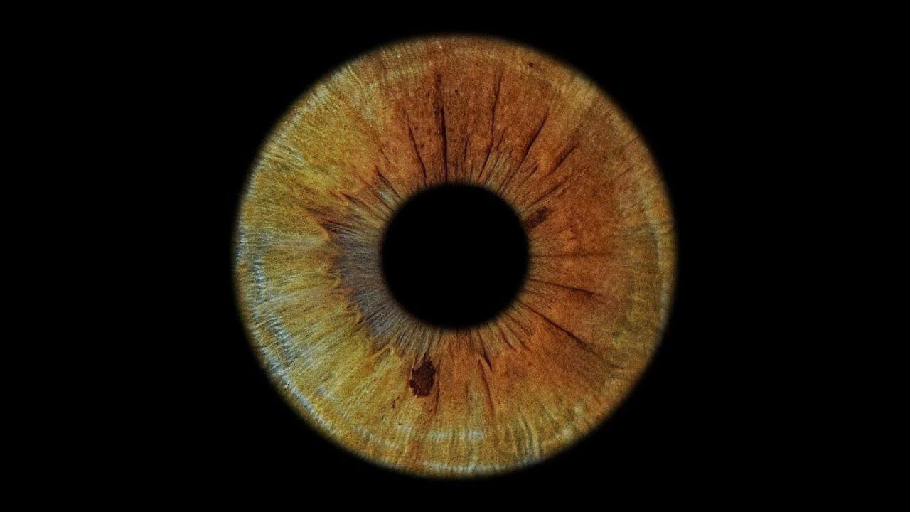 Svetlana Laboda - Your Eyes (Visualization | After Effects)