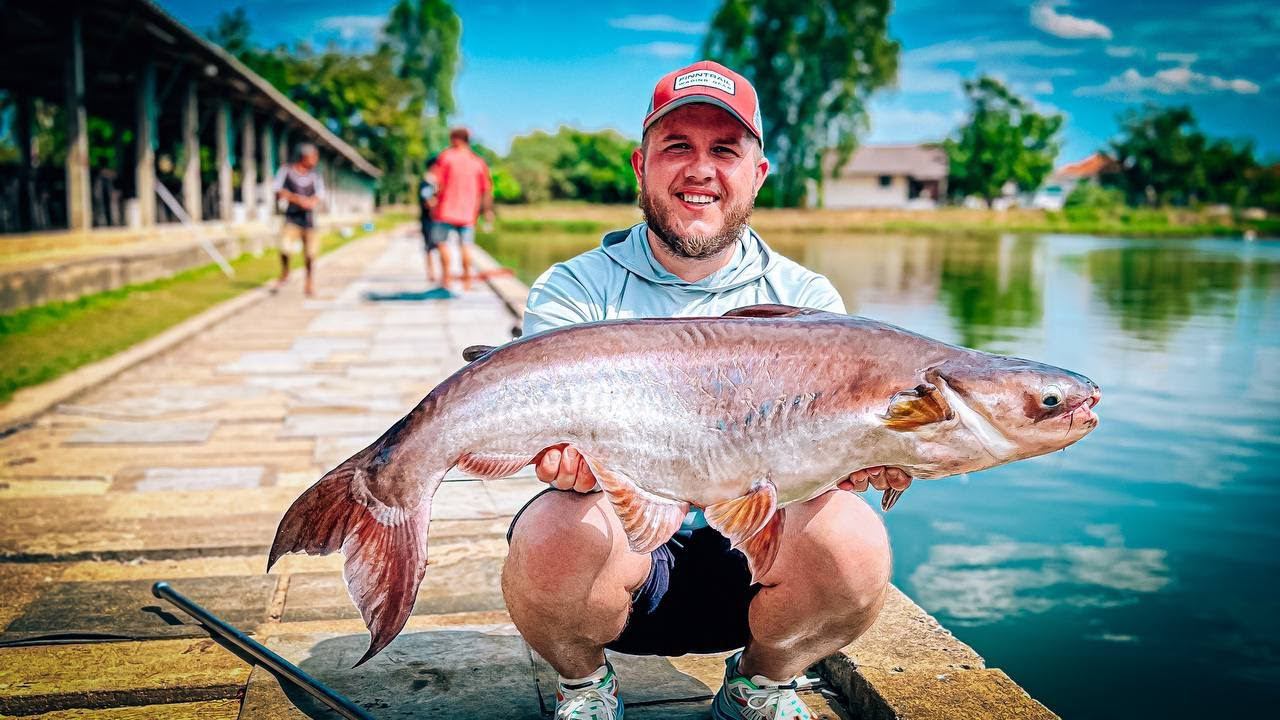 ТАКИХ МОНСТРОВ я ЕЩЕ НЕ ЛОВИЛ !!! / РЫБАЛКА в ТАЙЛАНДЕ смотреть онлайн