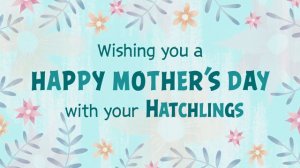 The Angry Birds Movie: Happy Mother's Day from the Hatchlings!