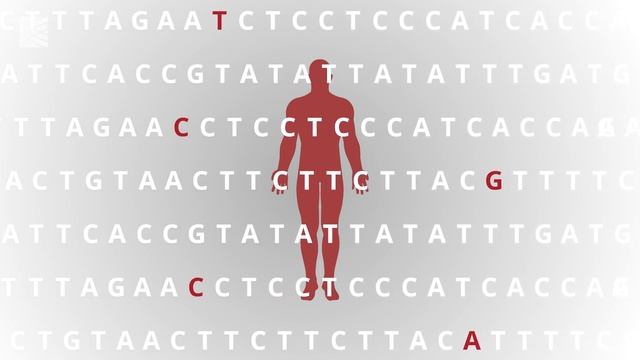 How researchers from the Zoonomia project are learning from the genomes of 240 mammals смотреть онлайн