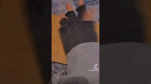 🍁Терианы из ТТ🍁