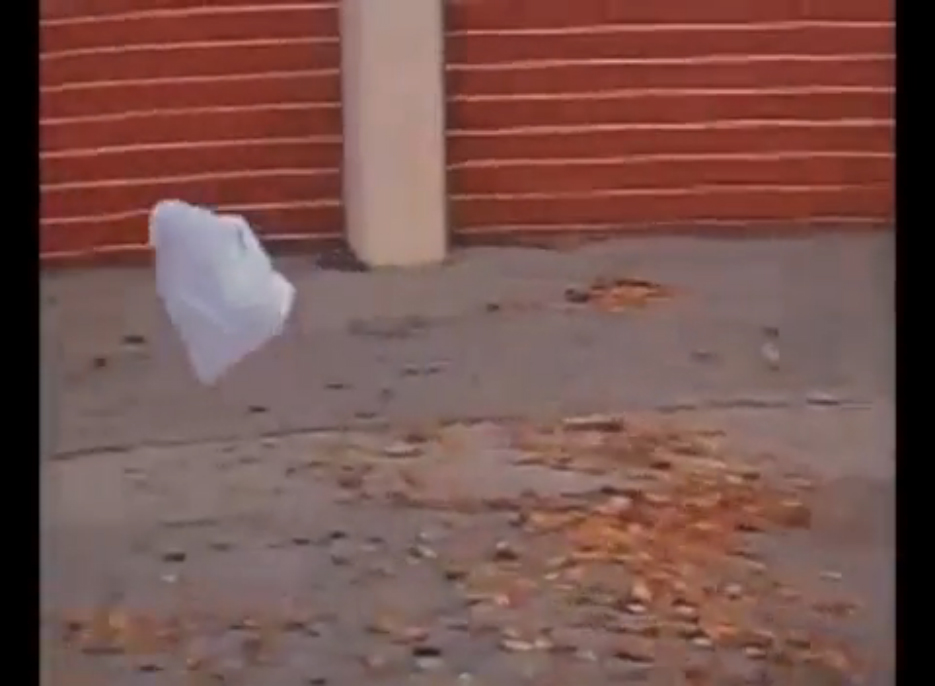 bolsadeplastico смотреть онлайн