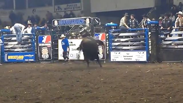 Ty Pozzobon 86.5 on 627 Final Legacy (GZ) Prince Albert, SK PBR Canada '12 LG смотреть онлайн