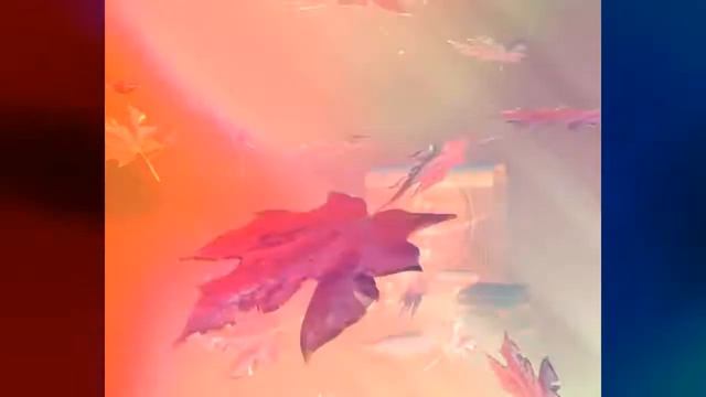 ФУТАЖИ - КРАСИВЫЙ ФОН ЛИСТЬЯ смотреть онлайн