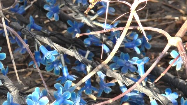 24 часа 10 04 2018 Украли светодиодное дерево смотреть онлайн