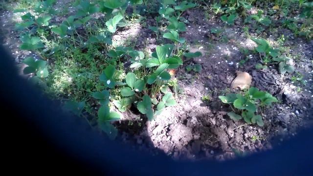 Эпилог ,который должен быть прологом самого крутого моего видео 😀👈 смотреть онлайн