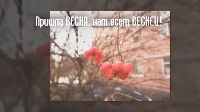 Весна идет Весне дорогу