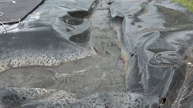 340 кубометров осадков планируется извлечь со дна Клязьмы. Максим Красноцветов проверил ход работ смотреть онлайн