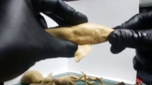 Лепка из пластилина. Пластилиновая акула. Как лепить рыбу. Лепка Акулы. Уроки лепки.