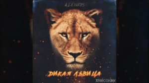 Клип дикая львица