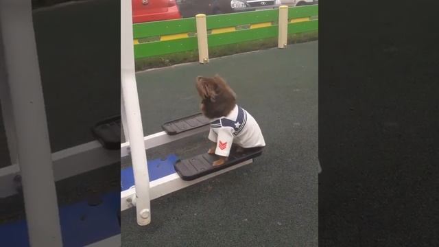 Тренирую вестибулярный аппарат смотреть онлайн
