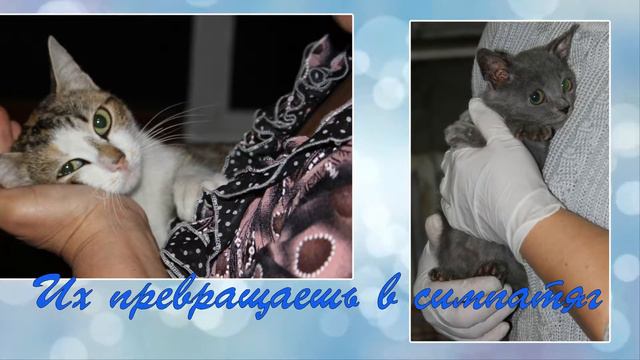 С днем рождения, Ирина! смотреть онлайн