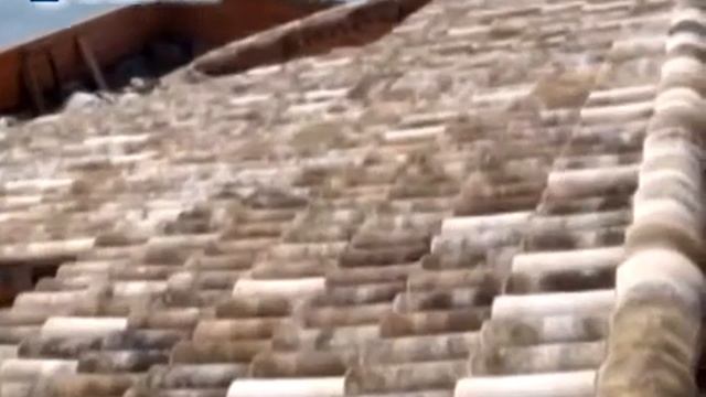 LaEscandella - представительство в Украине смотреть онлайн