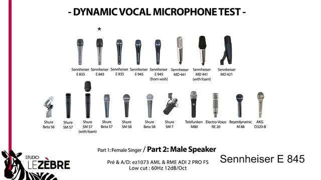 DYNAMIC VOCAL MICROPHONE TEST by Studio Le Zèbre (Sennheiser, Shure, Telefunken...) смотреть онлайн