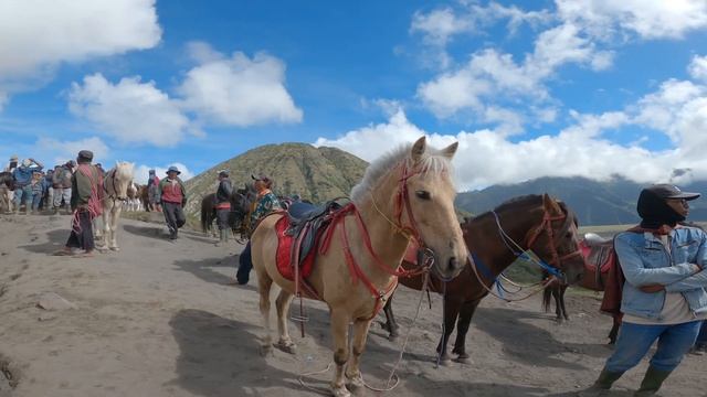 The PERFECT itinerary for EAST JAVA, but is it a SAFE place to travel? смотреть онлайн