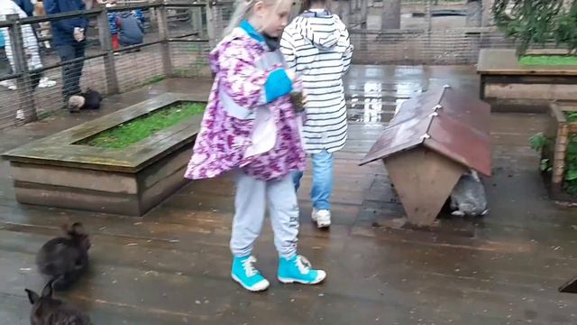 Отдых "Шишки на Лампушке" (сентябрь, 2020) смотреть онлайн