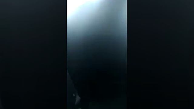 Национальный Парк Башкирия смотреть онлайн
