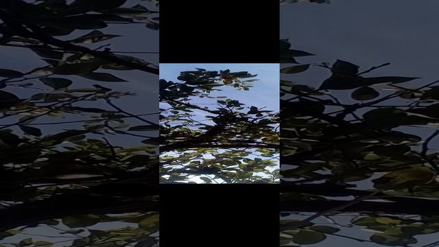 20240912_092743.mp4 смотреть онлайн