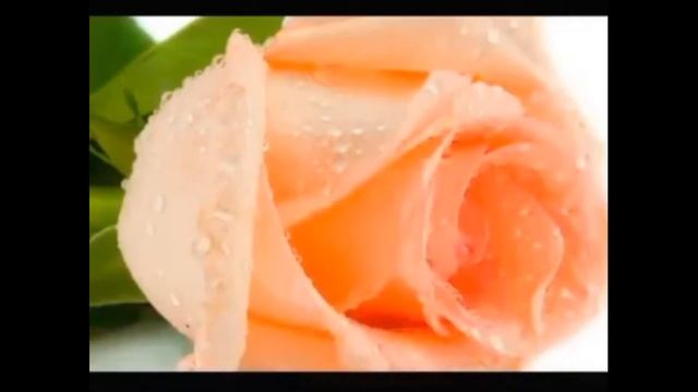 С ДНЕМ РОЖДЕНИЯ ВАЛЯ!!! смотреть онлайн