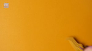 LEGO Speed Build! Tournament Battle Arena + Ninja Team Combo Vehicle!! | NINJAGO 2024 | Beat Build