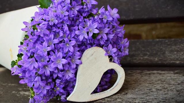 За далью даль! Невероятно красивая музыка,трогает до глубины...БОЖЕСТВЕННАЯ КРАСОТА ЦВЕТОВ и МУЗЫКИ смотреть онлайн