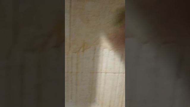 Надо удалить жирный налет-легко! смотреть онлайн