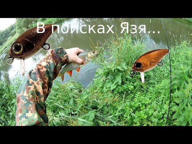 В поисках пассивного язя смотреть онлайн