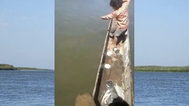 #big #fish and little #boy . #МАЛЕНЬКИЙ #РЫБАК ЛОВИТ БОЛЬШУЮ РЫБУ . #fishing смотреть онлайн