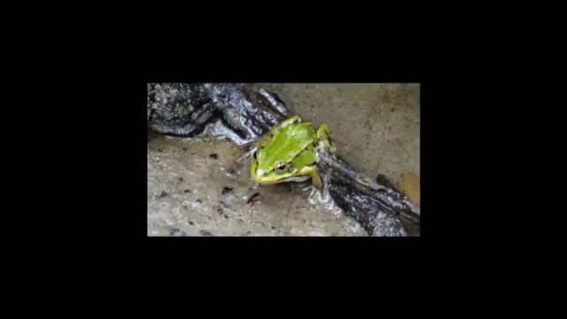 ProShow Slideshow483 Юра с ДНЁМ РОЖДЕНИЯ смотреть онлайн