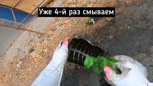 Очень грязный впускной коллектор. Как и чем я его отмыл? смотреть онлайн