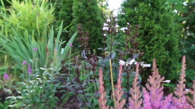 Full Garden Tour: June 2022 смотреть онлайн