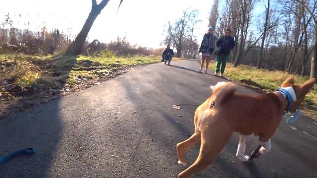 Уехали в Краснодар. Солнечный остров. Мотопробег Морозов!