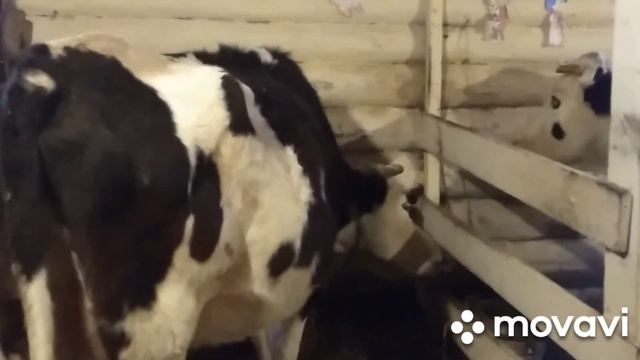 Жизнь в деревне без выходных.Работа не стоит на месте. смотреть онлайн