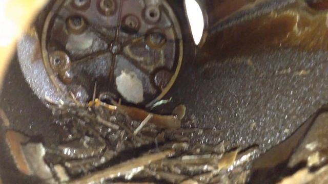 Как выглядит бойлер кофемашины изнутри смотреть онлайн