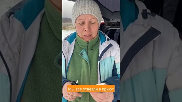 На наше объявление на Авито откликнулись многие люди и прислали в приют консервы. смотреть онлайн