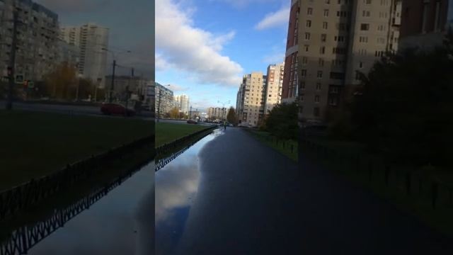 1к квартира в Приморском районе смотреть онлайн
