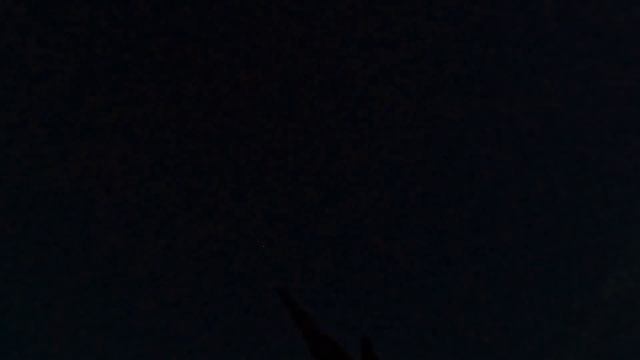 Весенняя охота на вальдшнепа и утку в Свердловской области 2023 смотреть онлайн