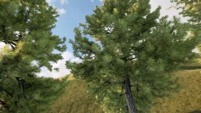 Красноярск, лестница на Торгашинский хребет смотреть онлайн